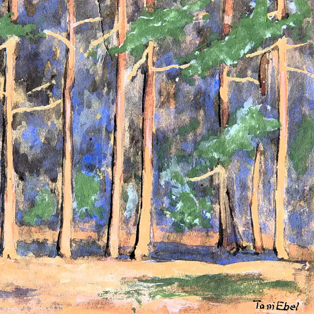 Wald, 1950er Jahre